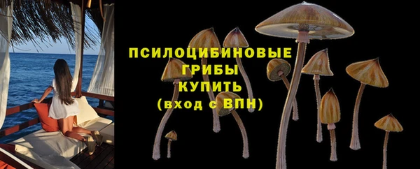 амфетамин Горнозаводск
