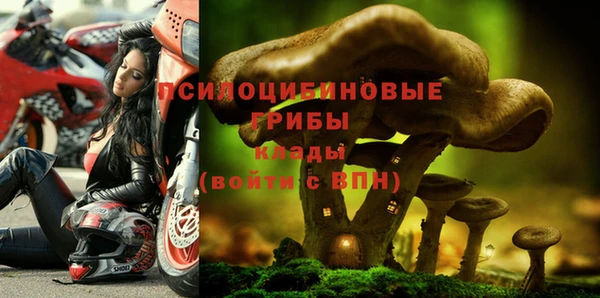 амфетамин Горнозаводск