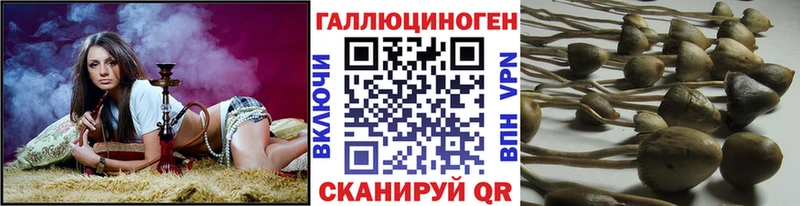 где купить   Малмыж  Псилоцибиновые грибы MAGIC MUSHROOMS 
